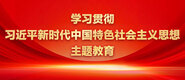 男人鸡巴操逼视频网学习贯彻习近平新时代中国特色社会主义思想主题教育_fororder_ad-371X160(2)